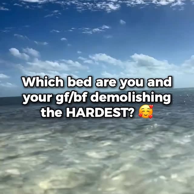  .....iesta   'recent posts' 