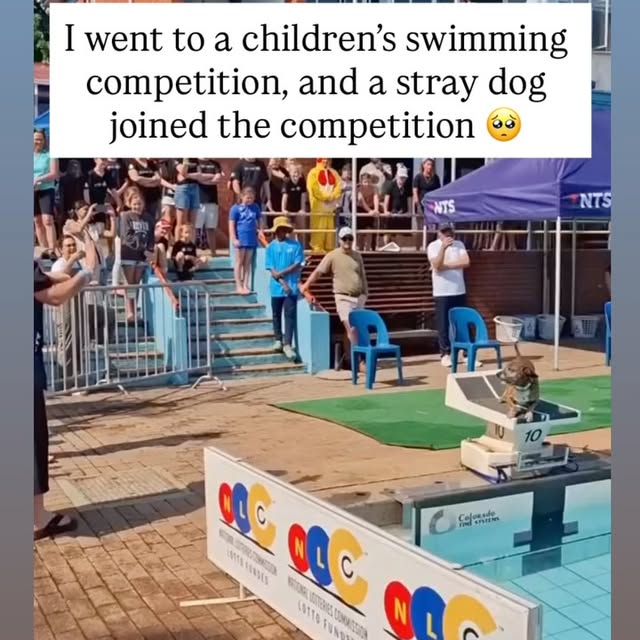  ....s.acc   'recent posts' 