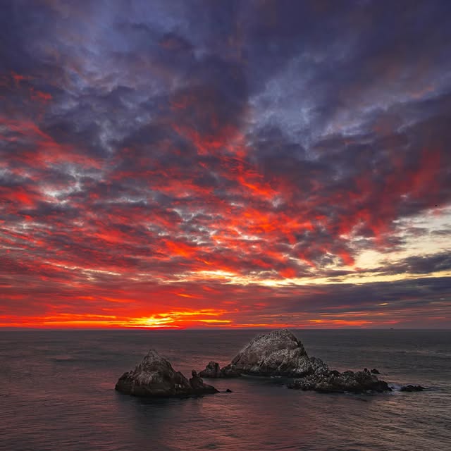  ......aphael   'recent posts' 