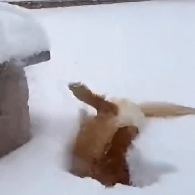  ......orable   'recent posts' 