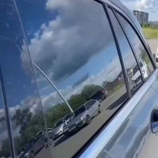  .........pet_world   'recent posts' 