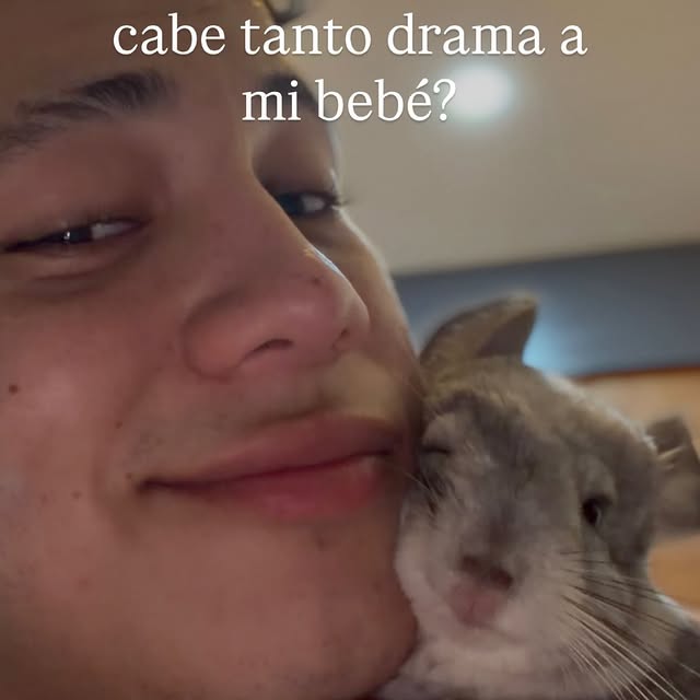  ........del_exito   'recent posts' 