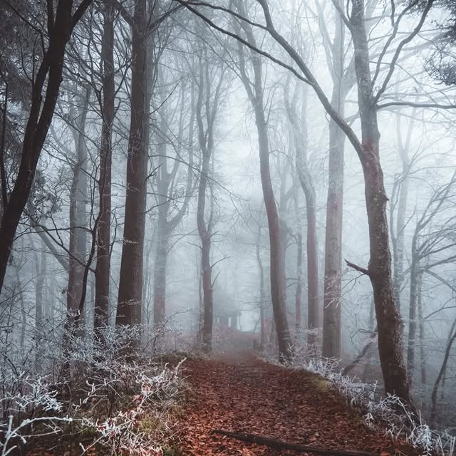  ..........discoverer   'recent posts' 