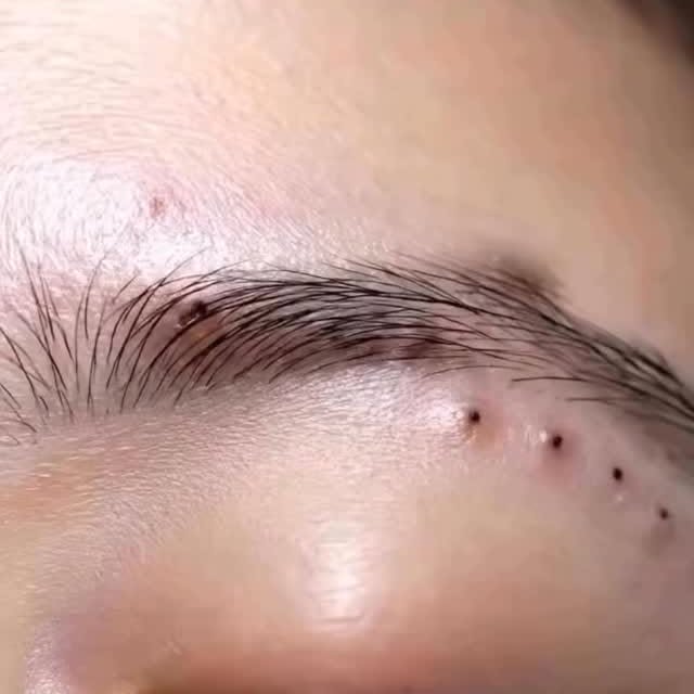  .....nimals   'recent posts' 