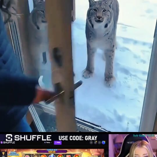  .......xplores   'recent posts' 