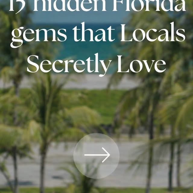  .....lorida   'recent posts' 