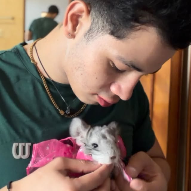  ........del_exito   'recent posts' 