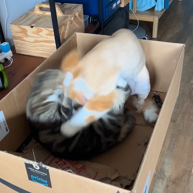  ......adamus   'recent posts' 