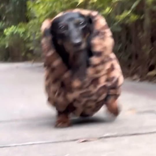  ..........fan.club_   'recent posts' 