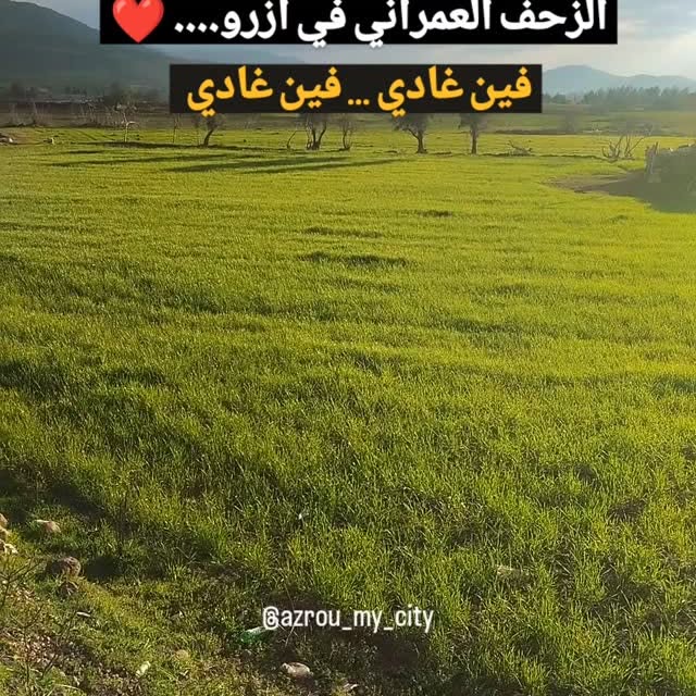  ......my_city   'recent posts' 