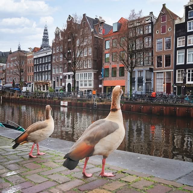  .......amworld   'recent posts' 