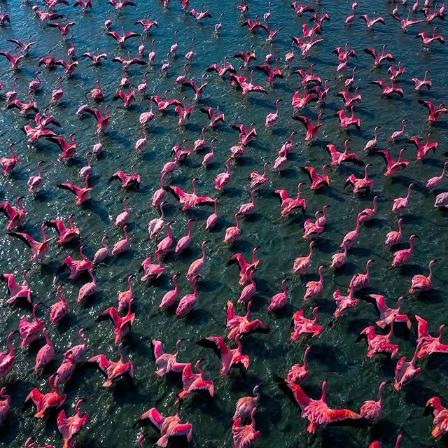  .......rfervor   'recent posts' 