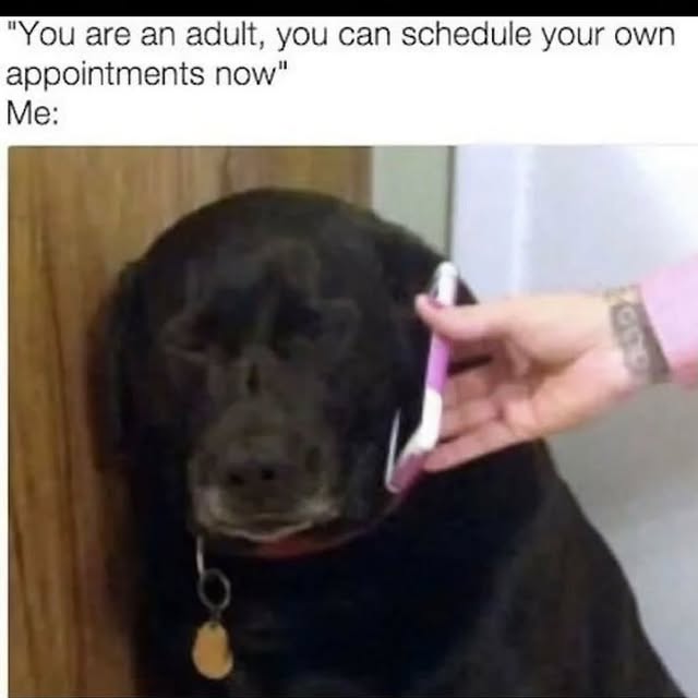  .........nuniverse   'recent posts' 