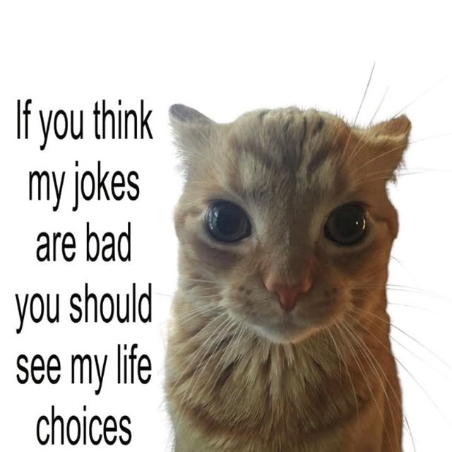  ......nd.kits   'recent posts' 