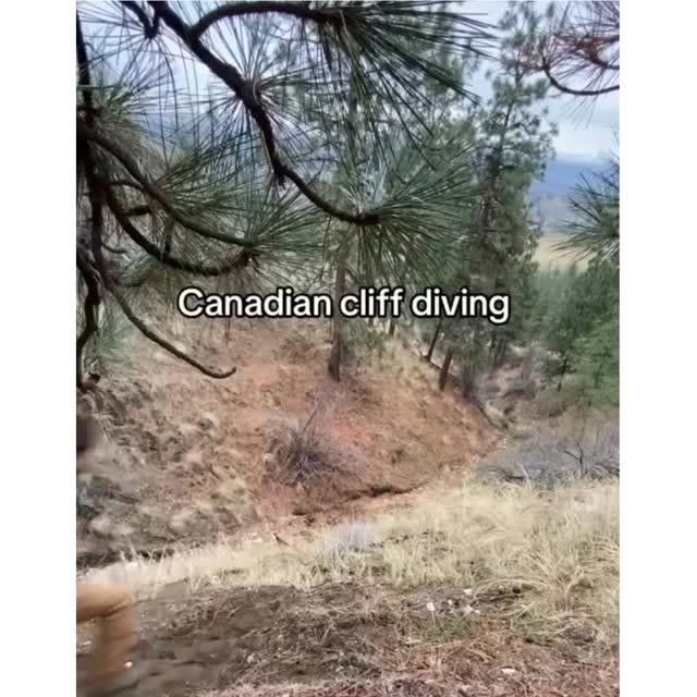  ....ed.d   'recent posts' 