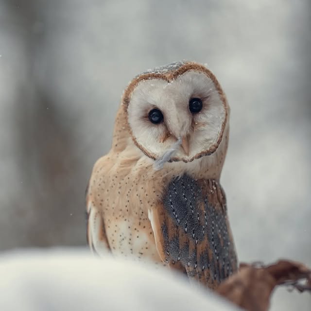  ........vacations   'recent posts' 