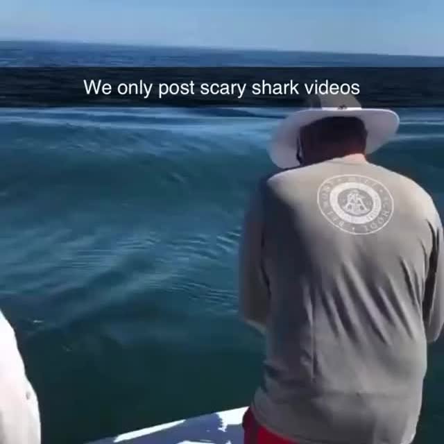  .........arkattacks   'recent posts' 