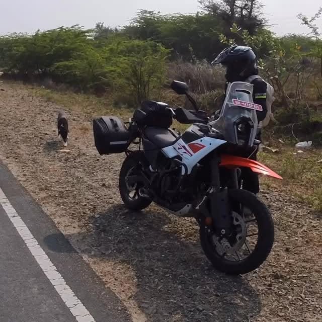  ......alouis   'recent posts' 