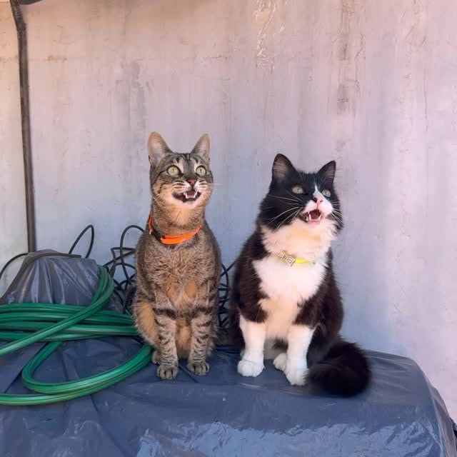  ......kekkek   'recent posts' 