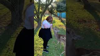  ...... Doyle  'recent videos' 