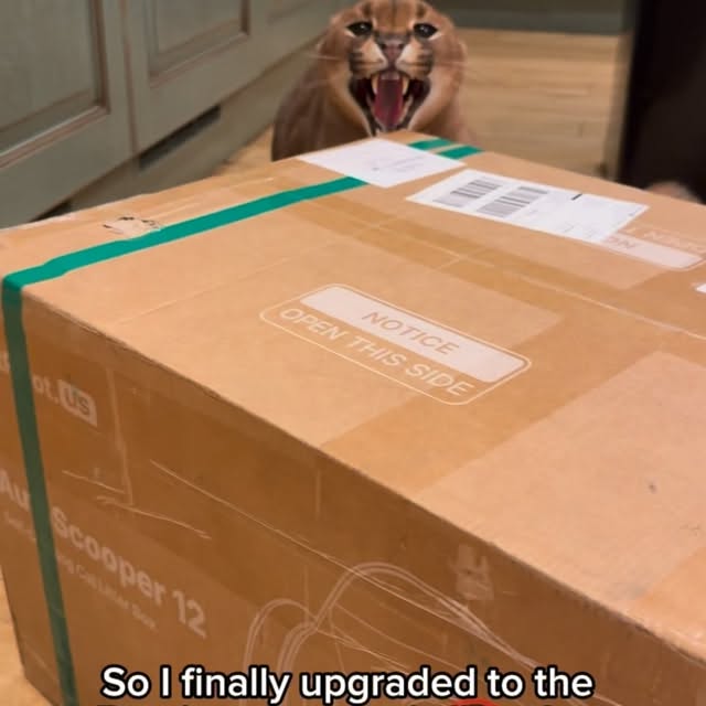  ......aracal   'recent posts' 