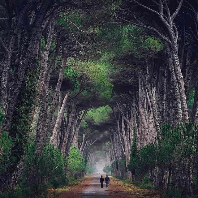  ......inside   'recent posts' 