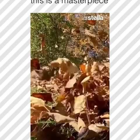  ......rposts   'recent posts' 