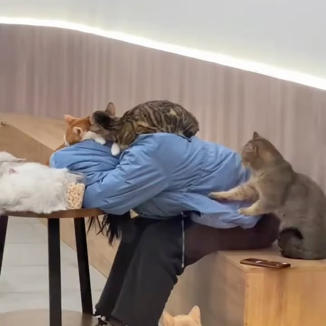  ...urre   'recent posts' 