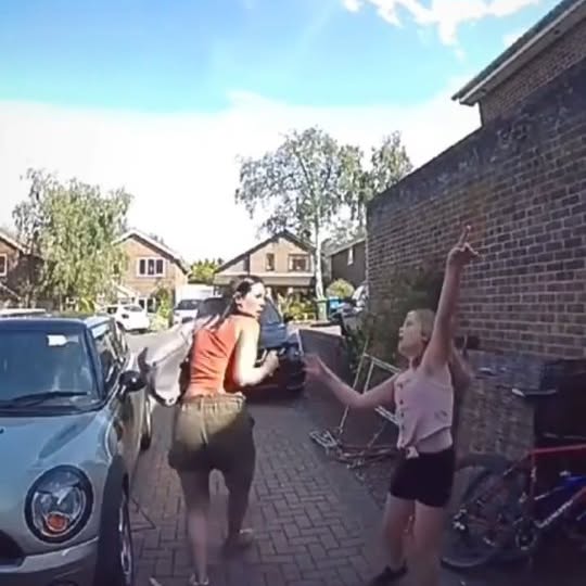  .....nimals   'recent posts' 