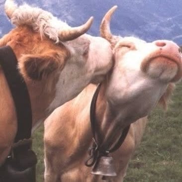  .....gangg   'recent posts' 