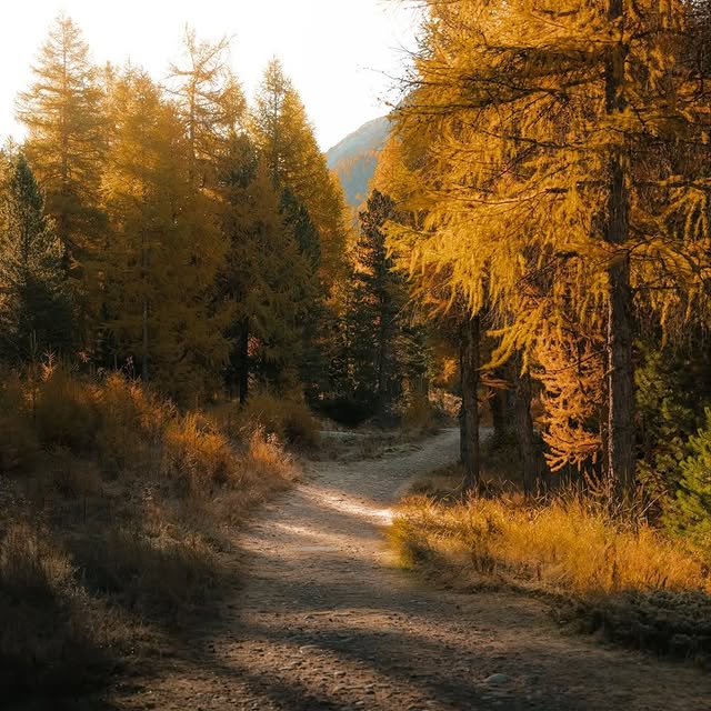  ..........discoverer   'recent posts' 