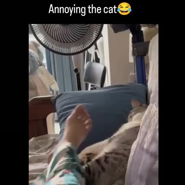  ...slab   'recent posts' 