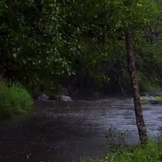  .......ureworld   'recent posts' 