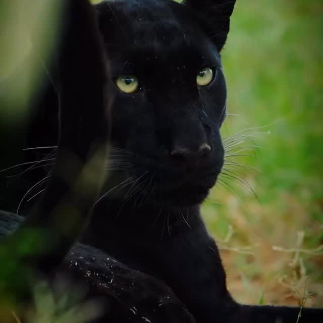  ......fehood   'recent posts' 