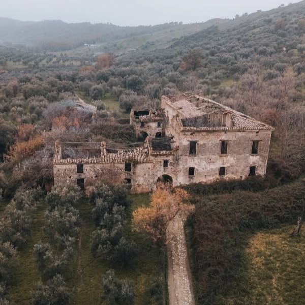  ....ylux   'recent posts' 