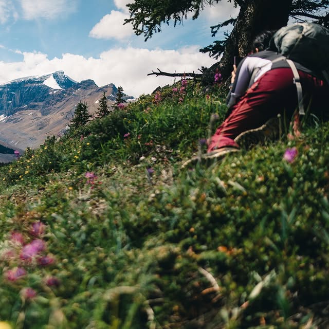  .......dventure   'recent posts' 