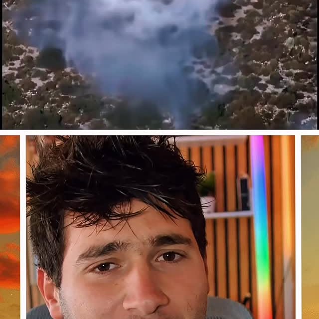  ..........usella_real   'recent posts' 