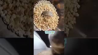  ......ricals  'recent videos' 