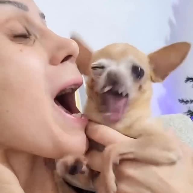  ........astiming   'recent posts' 