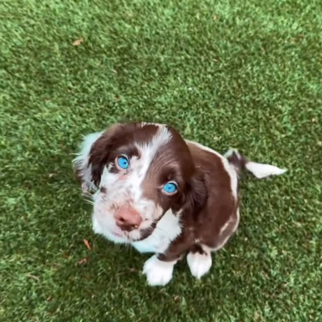  ......ofinsta   'recent posts' 