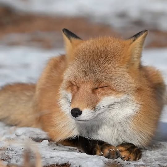  ........vacations   'recent posts' 