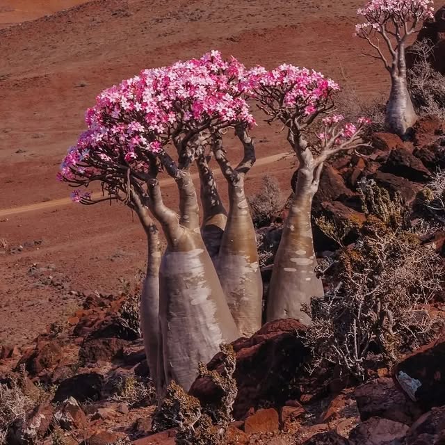  ........ionfervor   'recent posts' 