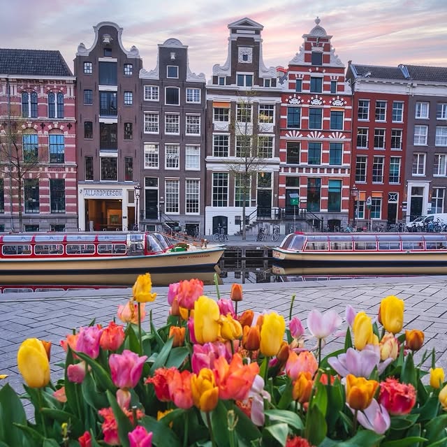  .......amworld   'recent posts' 