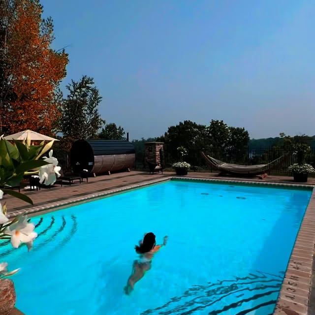  .........wanderland   'recent posts' 