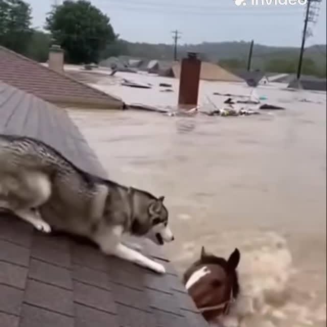  .....nly.ai   'recent posts' 