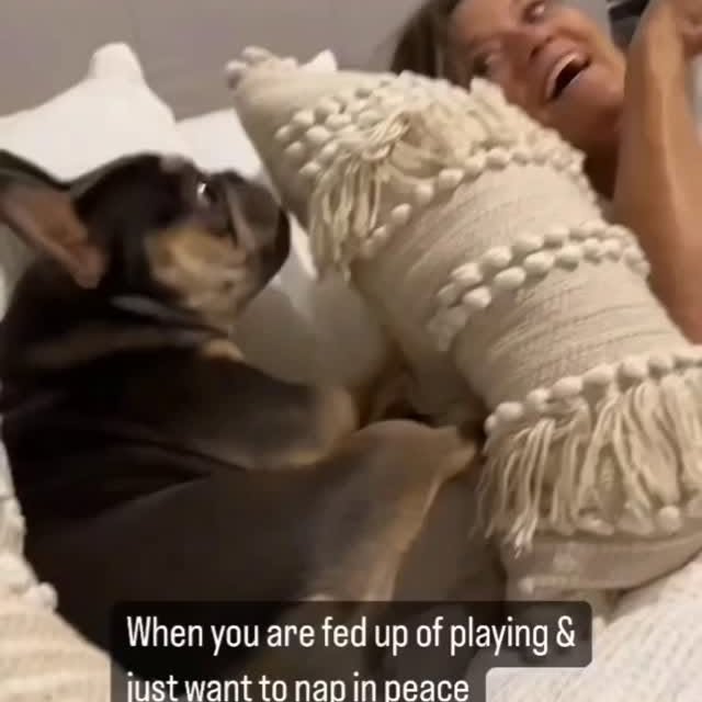  ..........ldogs_only   'recent posts' 