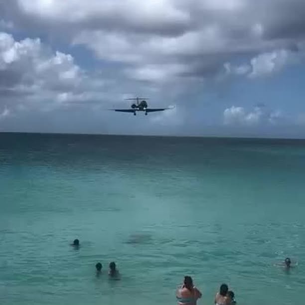  .....lsclub   'recent posts' 