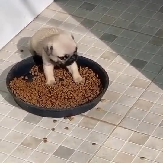  .....wners   'recent posts' 