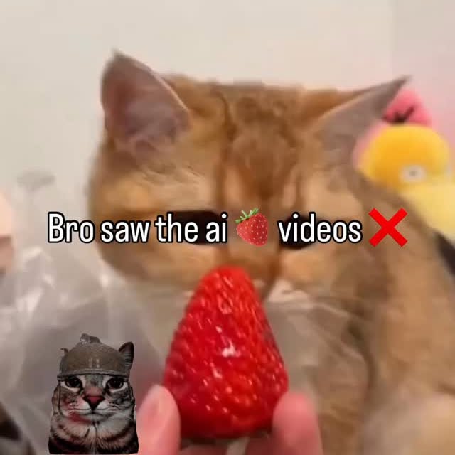  ....eowsy   'recent posts' 