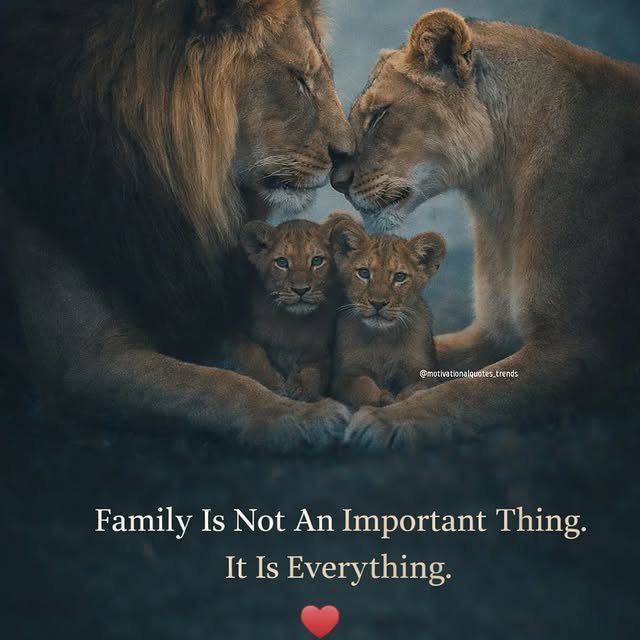  ............quotes_trends   'recent posts' 